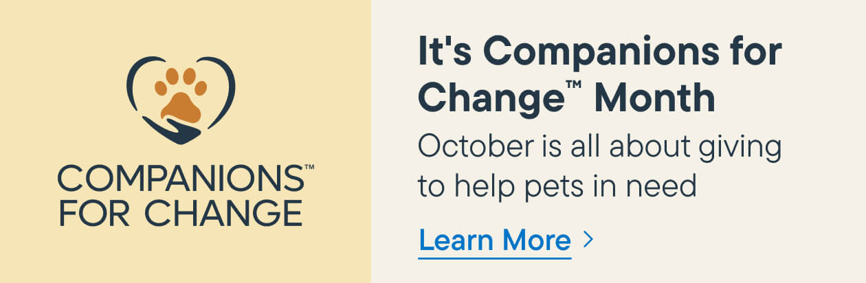 It's Companions for Change Month, October is all about giving to help pets in need