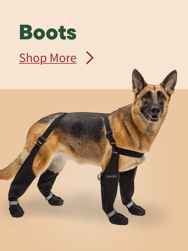 Fall Boots