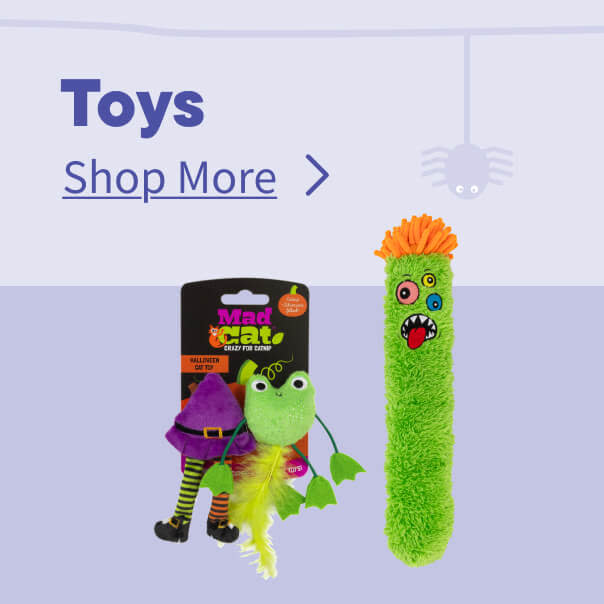 Halloween Toys