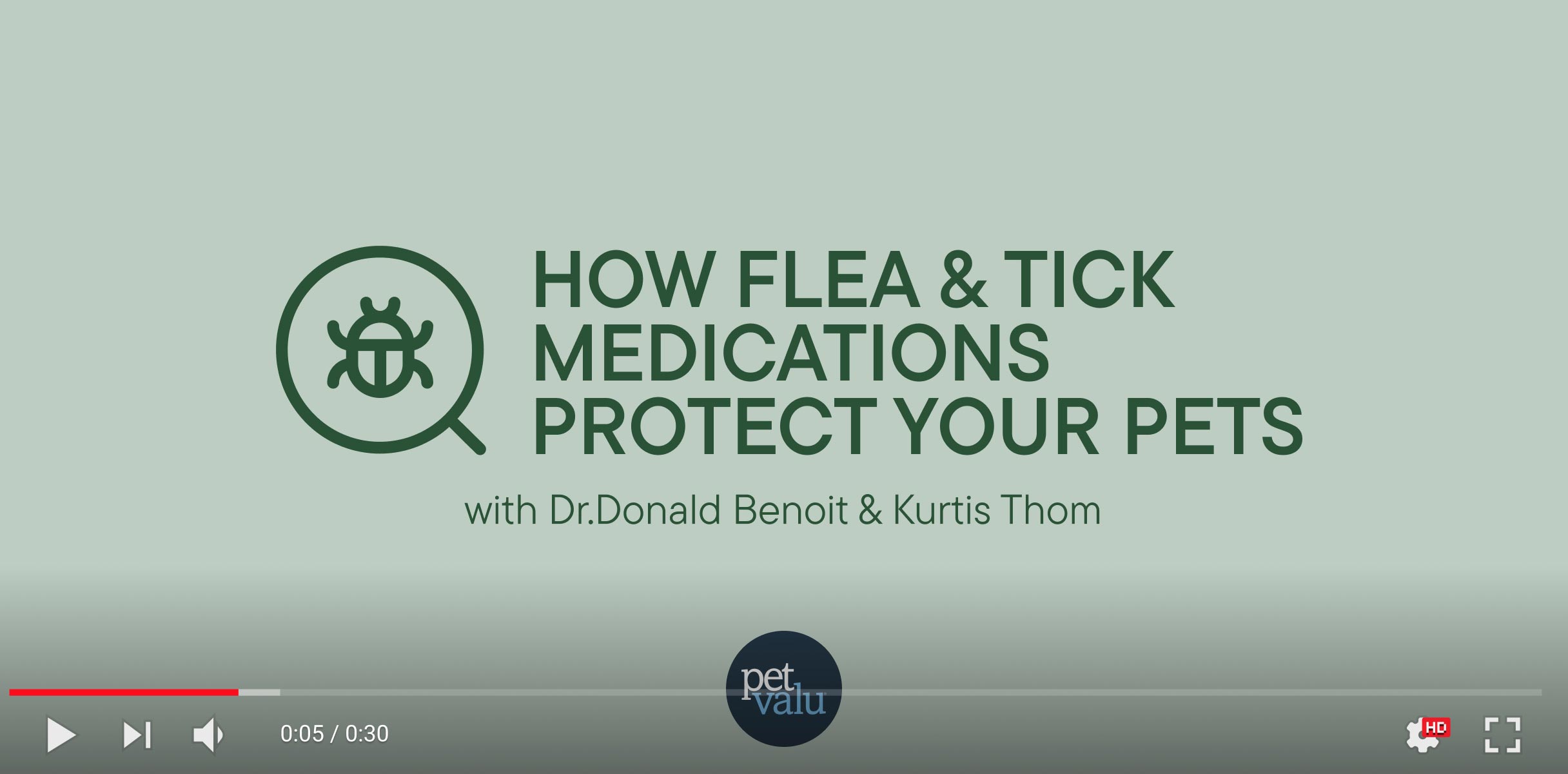 How Tick and flea medications protect your pet video thumbnail