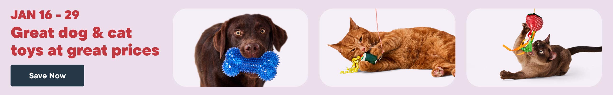 Dog & Cat Toy Sale: $5, $10, $15 Deals! 