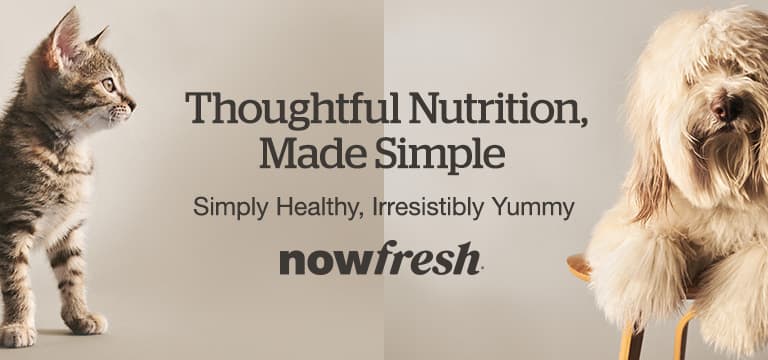 Brand - Now Fresh Default - Hero Banner