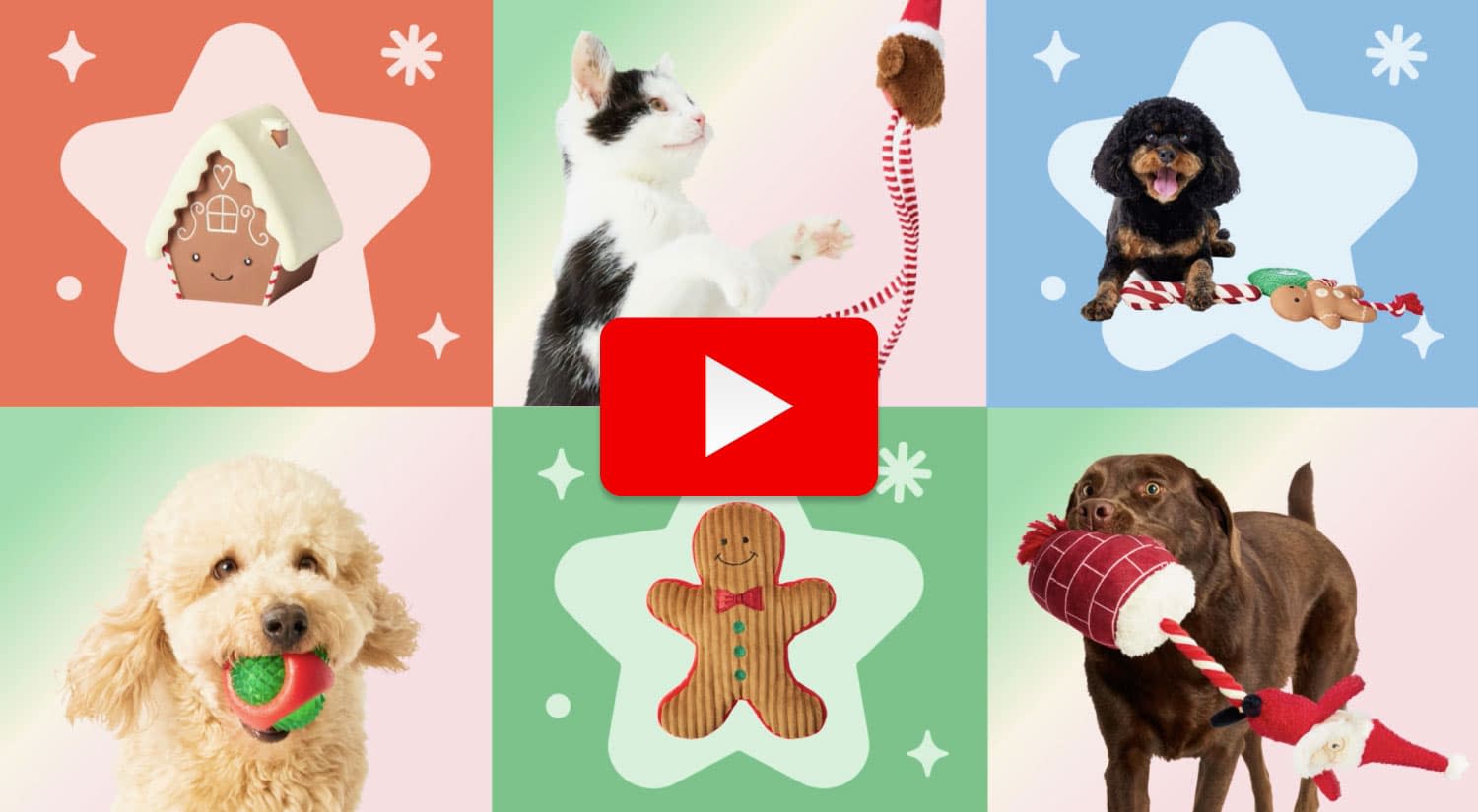 Pet Valu Youtube Video