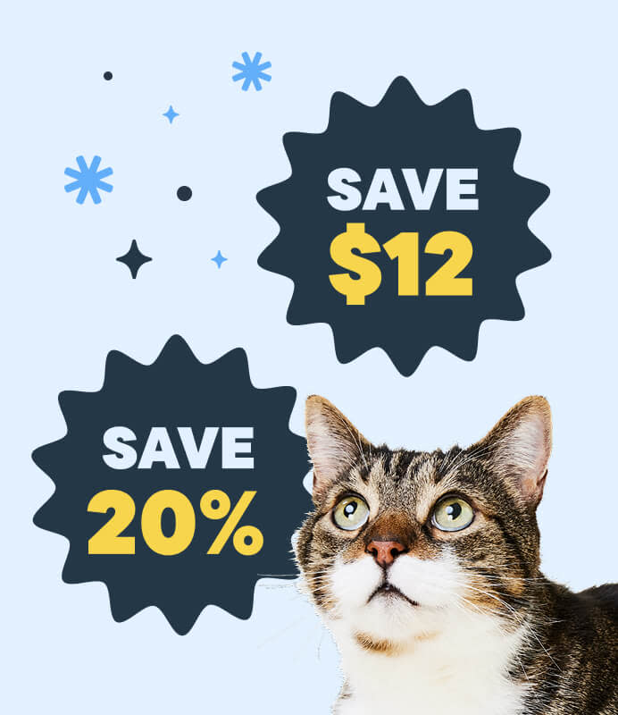 Black Friday 2025 - Event Day -  Hero Banner Column 3 Image