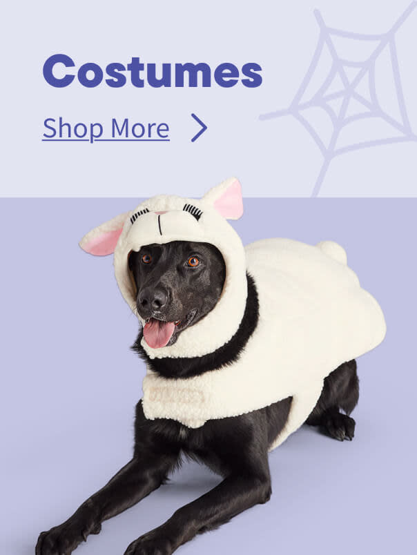 Halloween Costumes