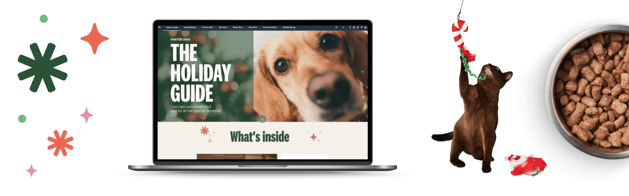 Discover our holiday guide