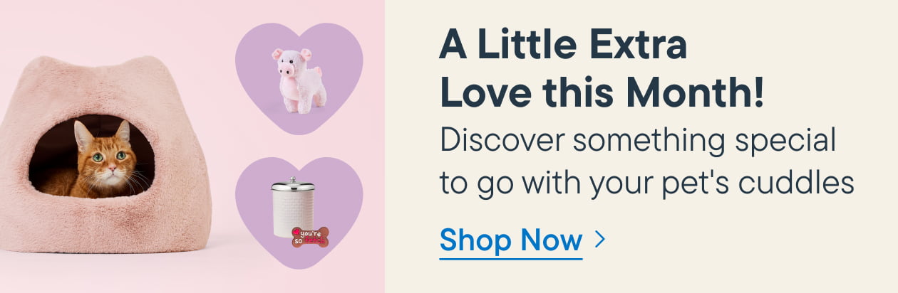 A Little Extra Love this Month!​ Discover something special to go with your pet's cuddles​ - Shop Now