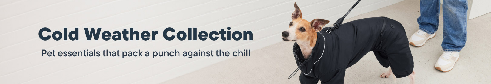 Cold Weather Collection - Pet essentials that pack a punch against the chill