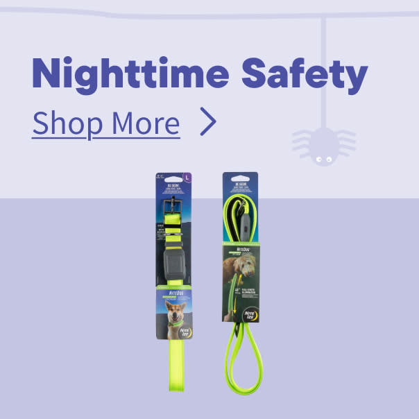 Halloween Nightime Safety