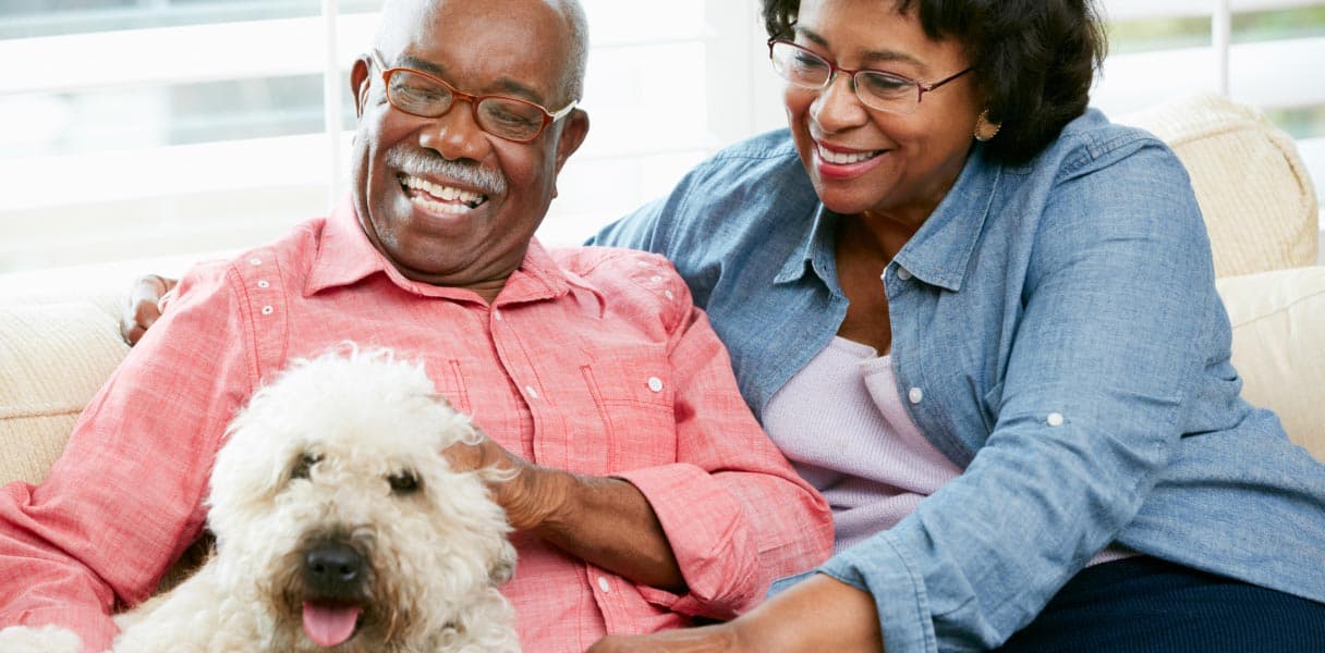 Older man and woman sitting close together and laughing while cuddling their big white dog in a home setting