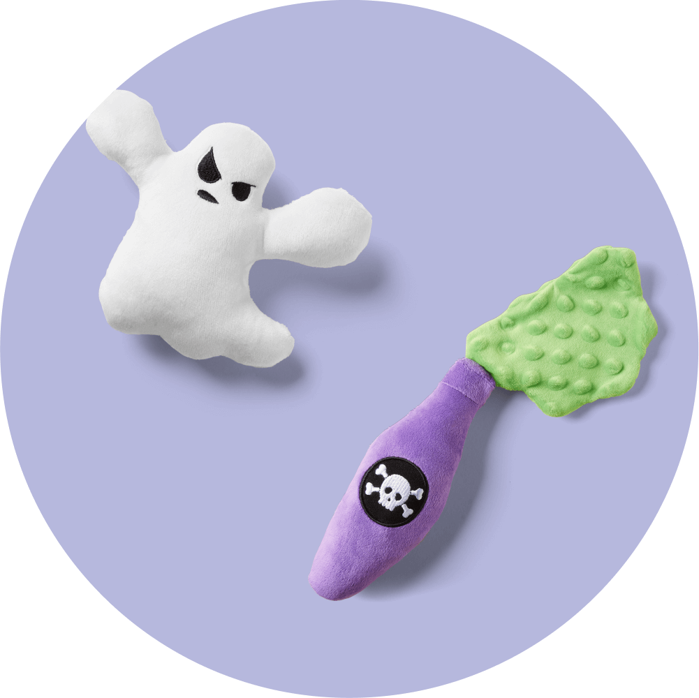 Halloween Dog Toys