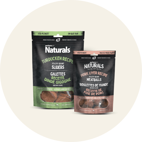 Performatrin Naturals Dog Treats