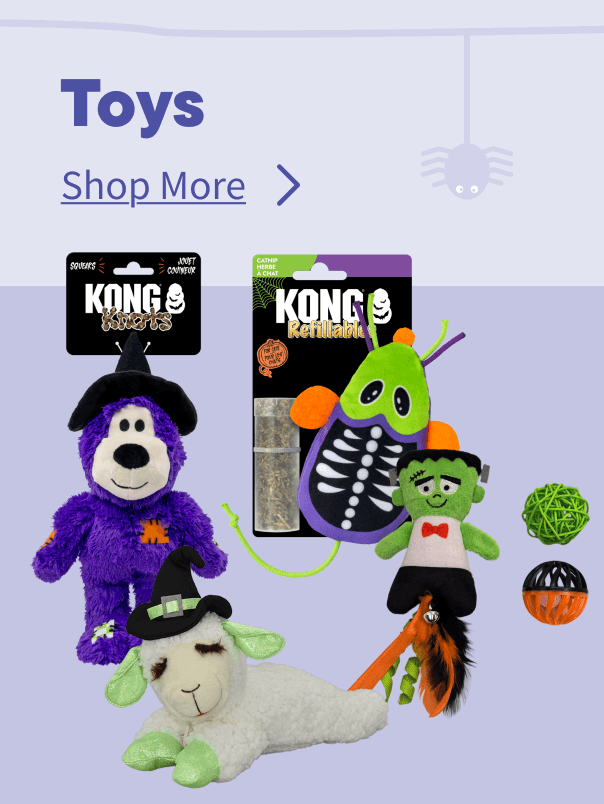 Halloween Toys