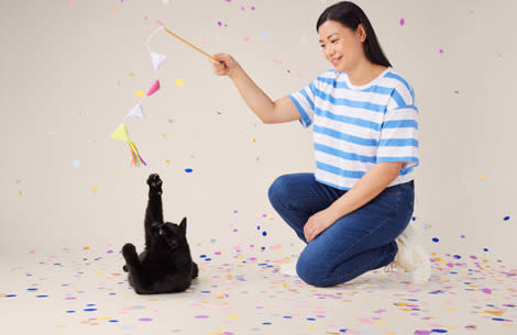 A cat playing with the owner