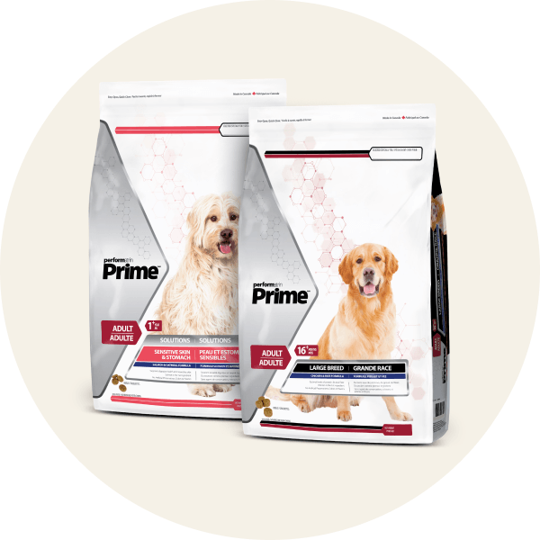 Performatrin Prime Dry Dog Food