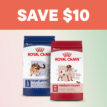 Dog - Top Deals Callout 2: Save $10