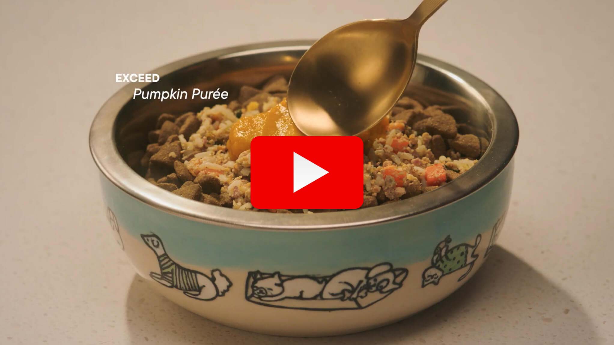 Feast on Love. Tasty bowls, tail wags, and holiday joy - made just for them. See for yourself