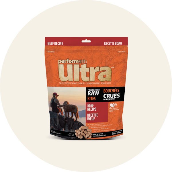 Freeze Dried Dog Food