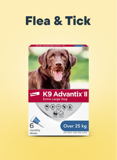 Flea & Tick