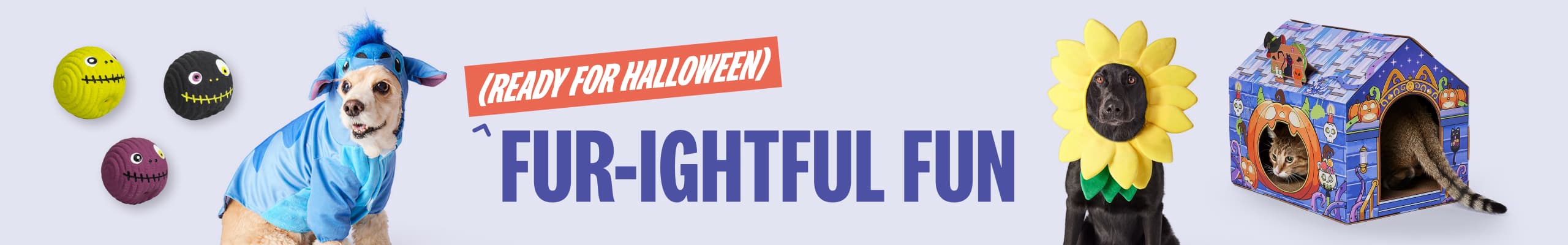 Halloween Banner