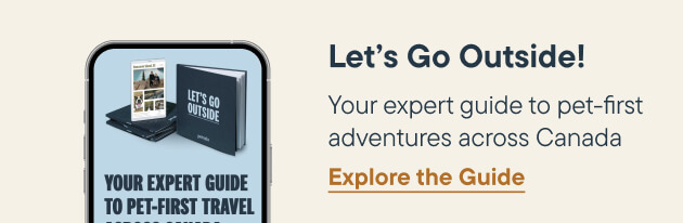 Let's Go Outside, Your expert guide to pet-first adventures across Canada - Explore the Guide