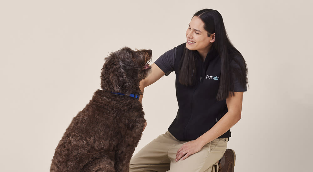 Big dog looks up excitedly at a Pet Valu employee who is giving the dog attention