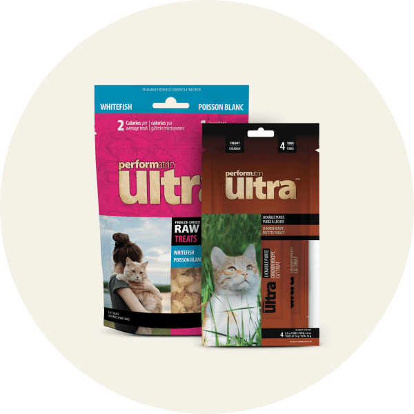 Cat Treats