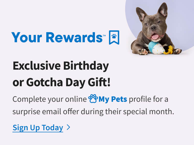 Pet Profile Sign Up