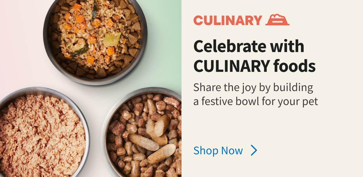 Culinary. Raw Food. Gently Cooked. Wholesome Treats. Shop Now