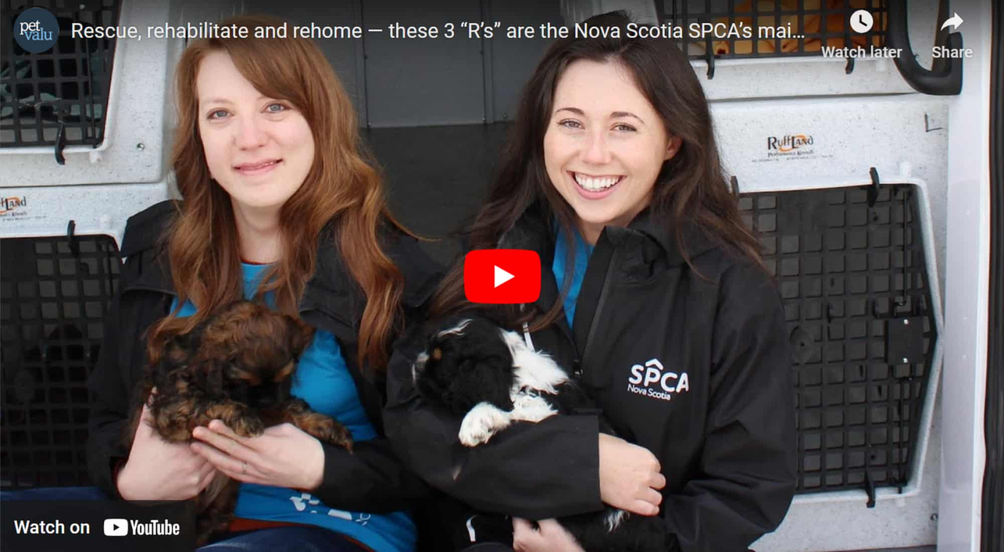 Rescue, rehabilitate and rehome — these 3 “R’s” are the Nova Scotia SPCA’s main mission