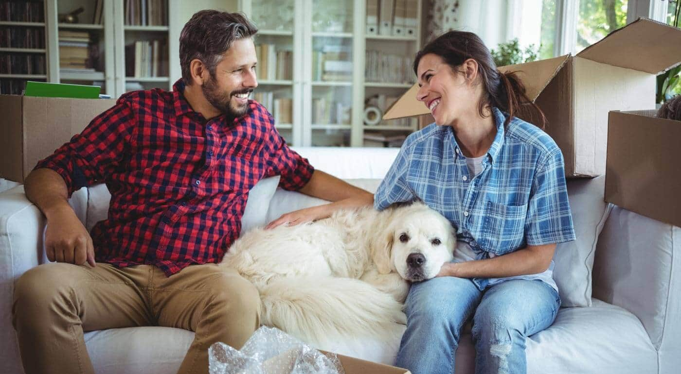 A big white dog gets some love from DPL parents on the couch surrounded by packing boxes.