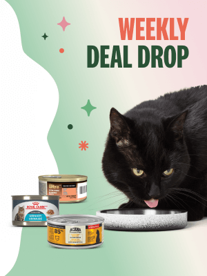 Pet valu cat food brands best sale