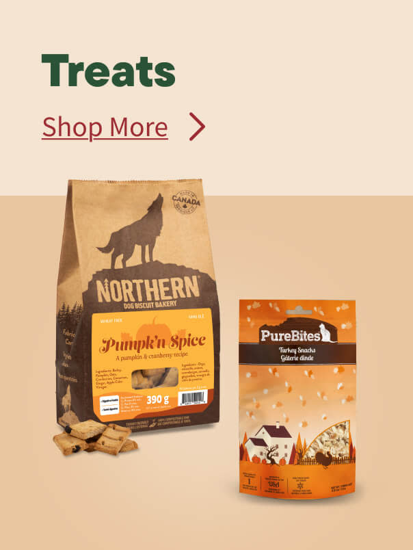 Fall Treats
