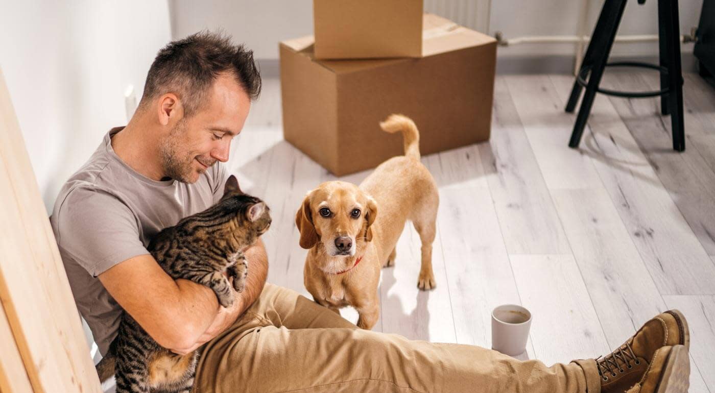 A DPL offers comfort to his tabby cat and small dog between packing up to move.