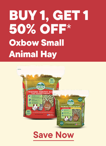 Buy 1, get 1 50% Off - Oxbow Small Animal Hay