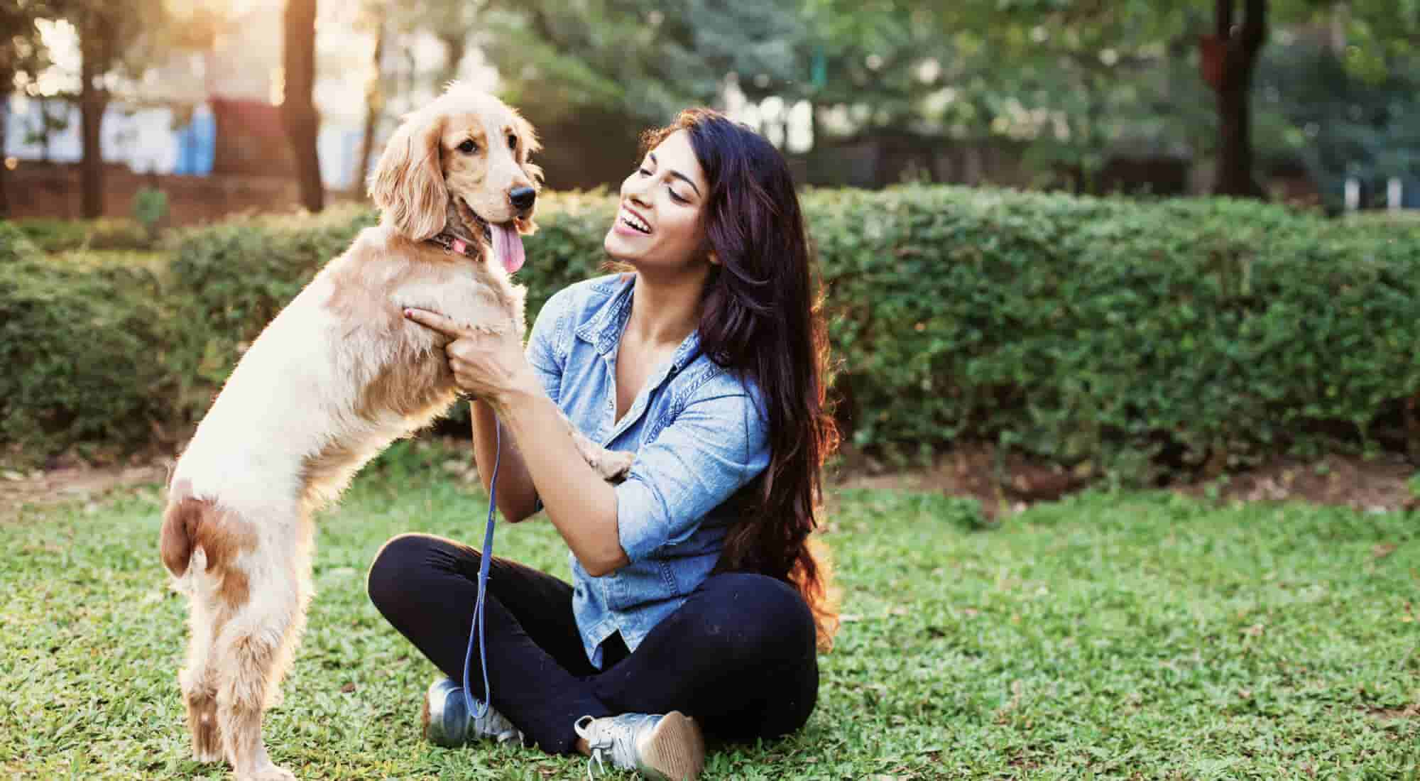 Dog trying to stand on female owner