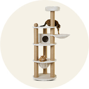 Shop by Category - Cat Furniture & Scratchers