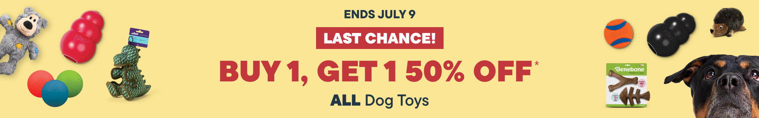 Buy 1 Get 50% off all Dog Toys LAST CHANCE