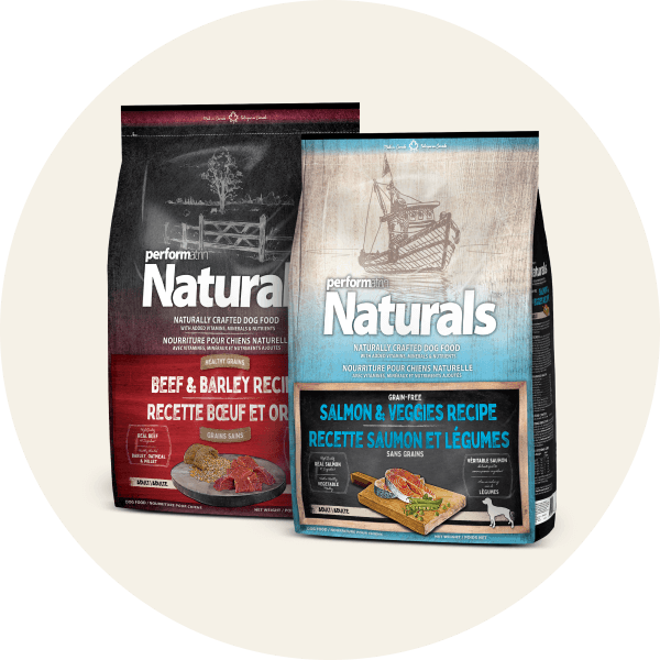 Performatrin Naturals Dry Dog Food