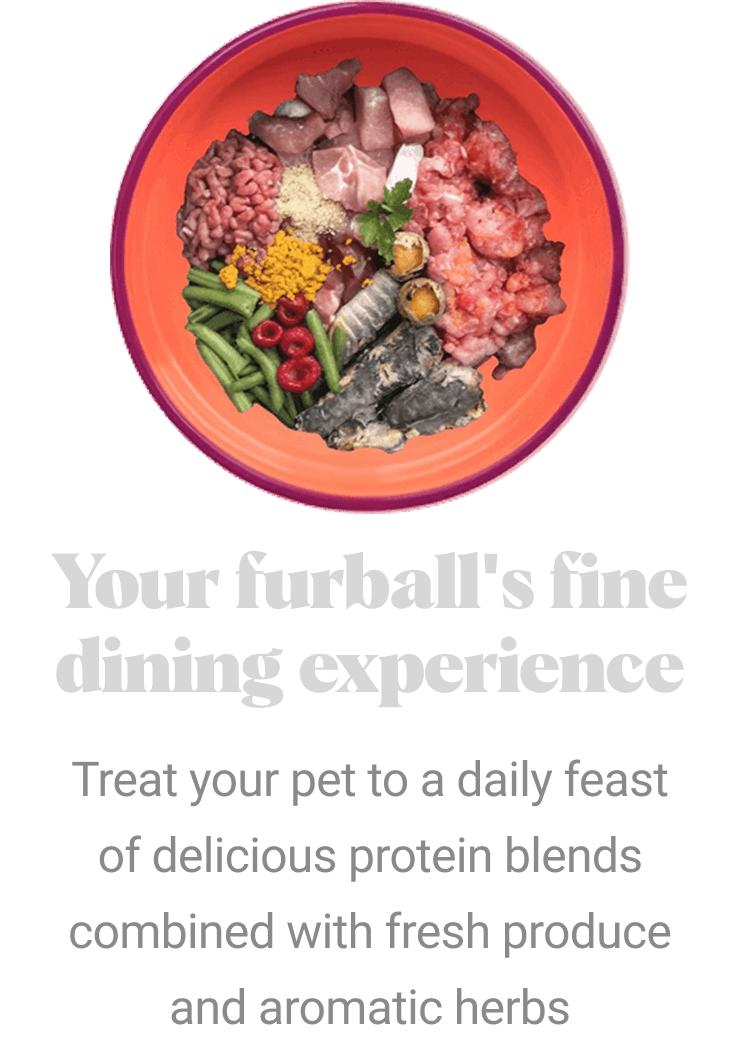 Performatrin Ultra - Your furball's fine dining experience