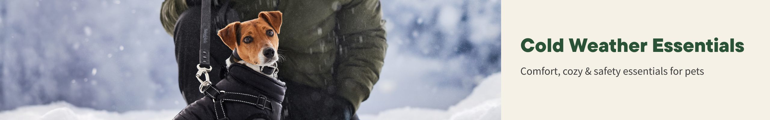 Cold Weather Essentials