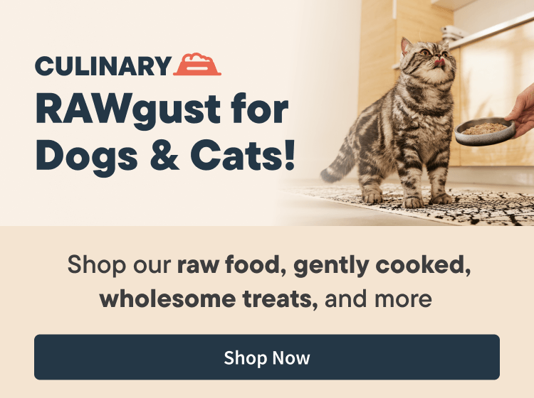 Culinary Rawgust for Dogs & Cats! - Shop Now