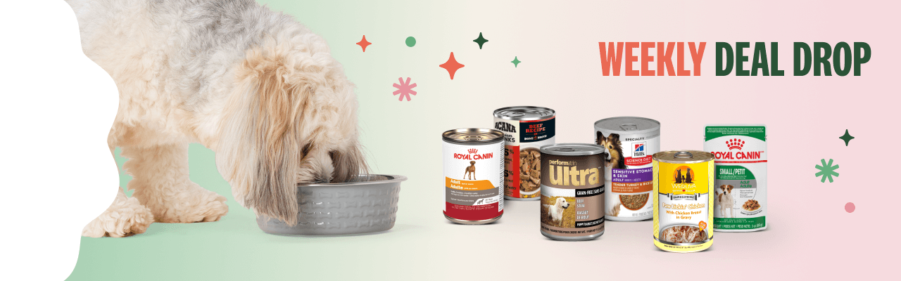 Save 25% off all Dog Wet Food