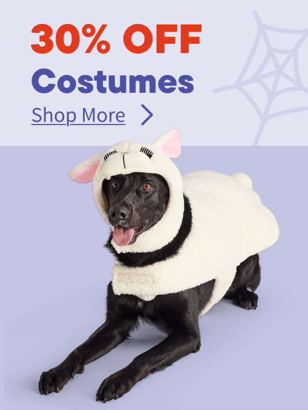 Halloween Costumes