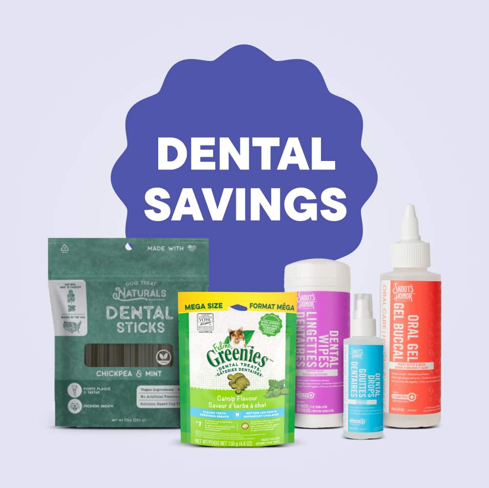 Dental Savings