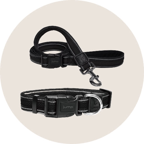 Collars, Leashes & Harnesses