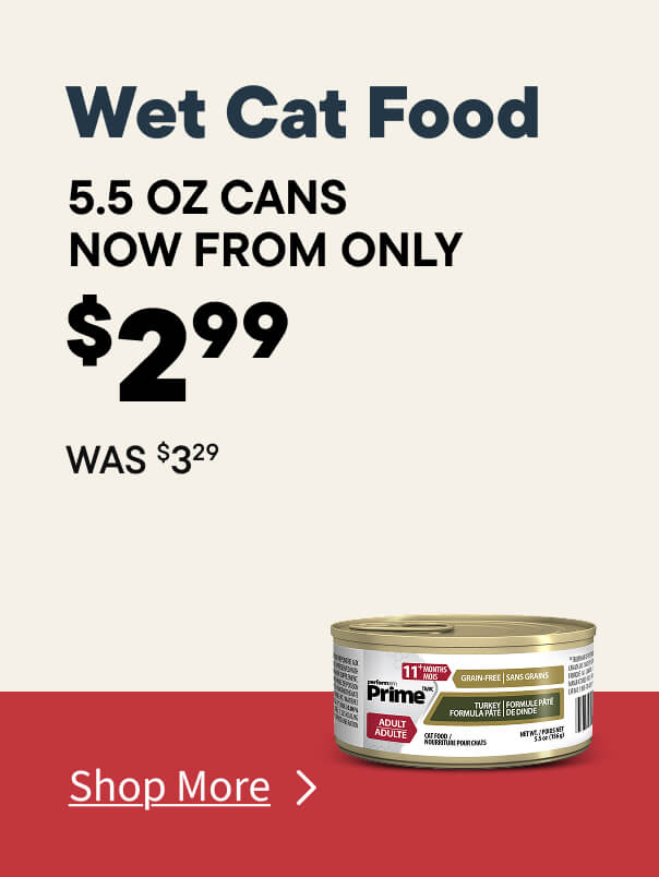 Wet Cat Food Sale