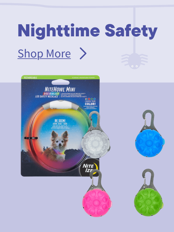 Halloween Nightime Safety