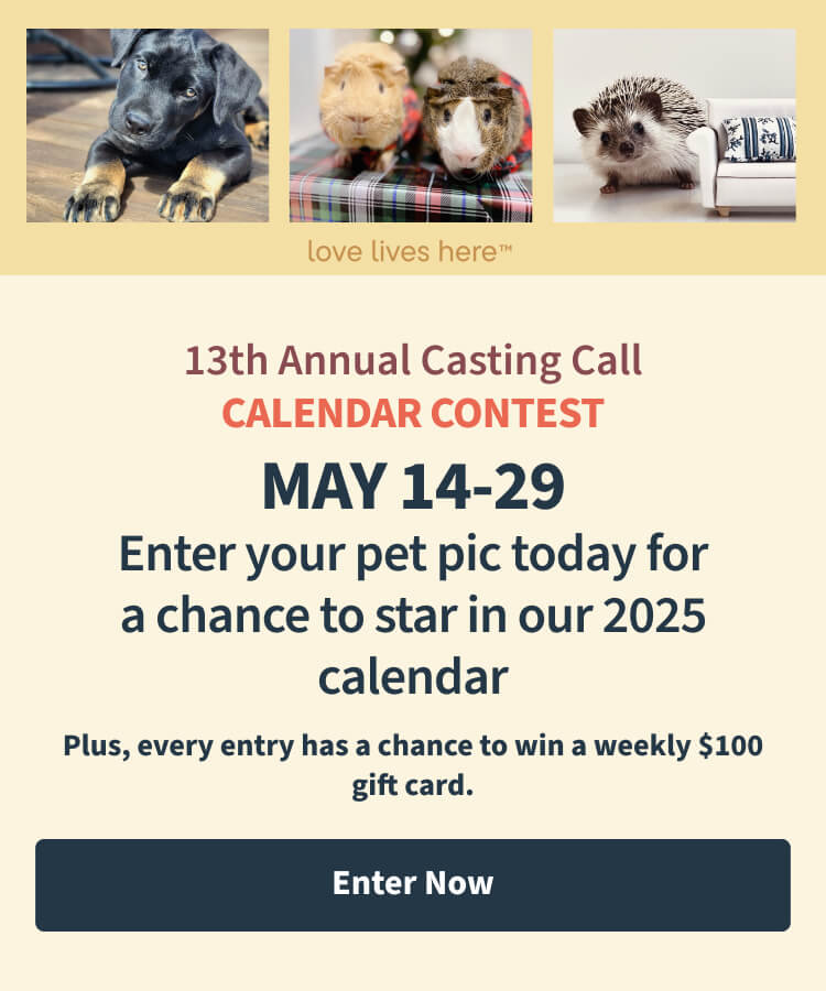 13th Annual Casting Call, May 14-29, Enter your pet pic today for a chance to star in our 2025 calendar - Enter Now