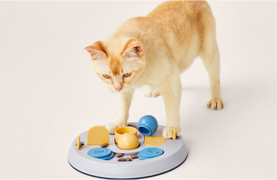 Cat playing with an interactive educational toy to find treats